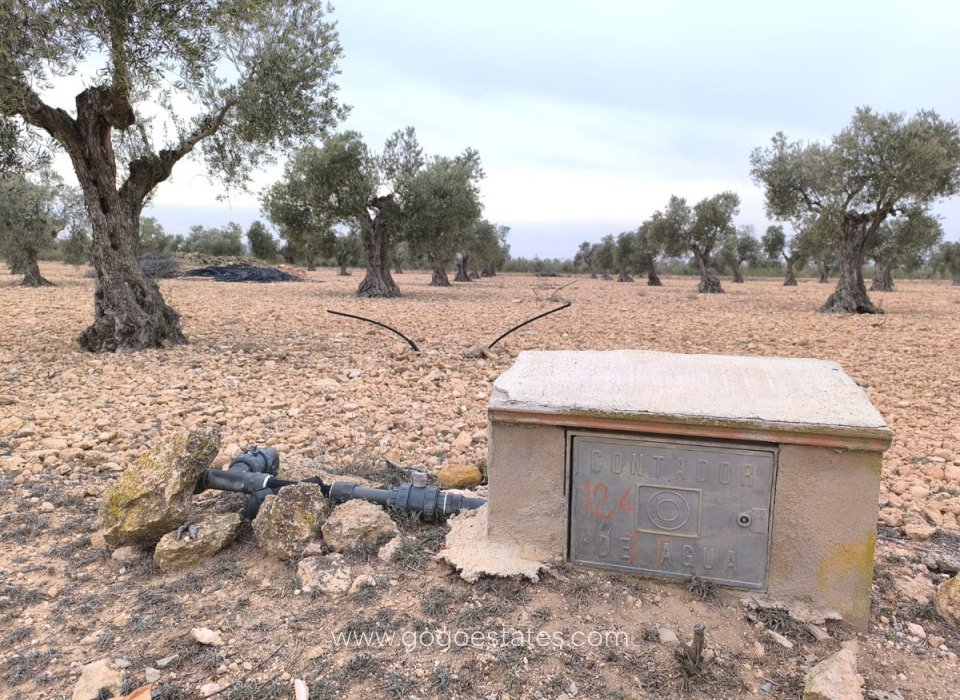 Resale - Plot - Land - Yecla - Yecla Centro