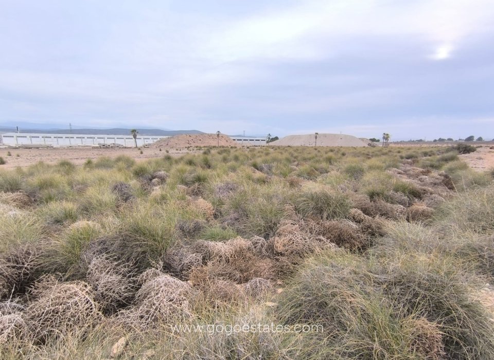 Resale - Plot - Land - Yecla - Yecla Centro