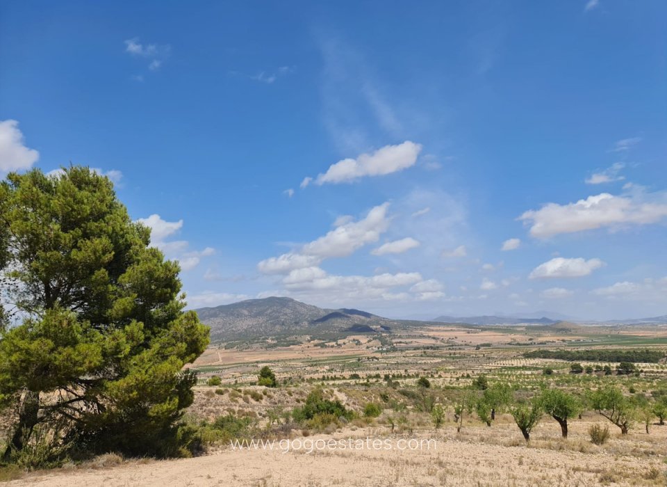 Resale - Plot - Land - Yecla - Yecla Centro