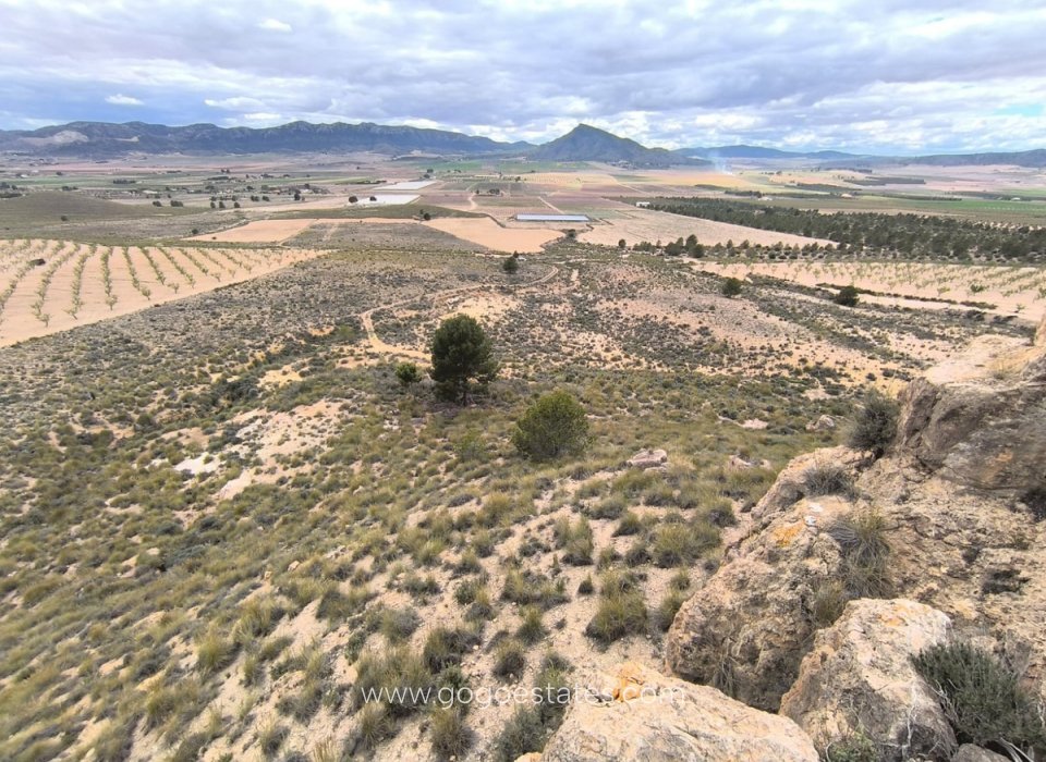 Resale - Plot - Land - Yecla - Yecla Centro