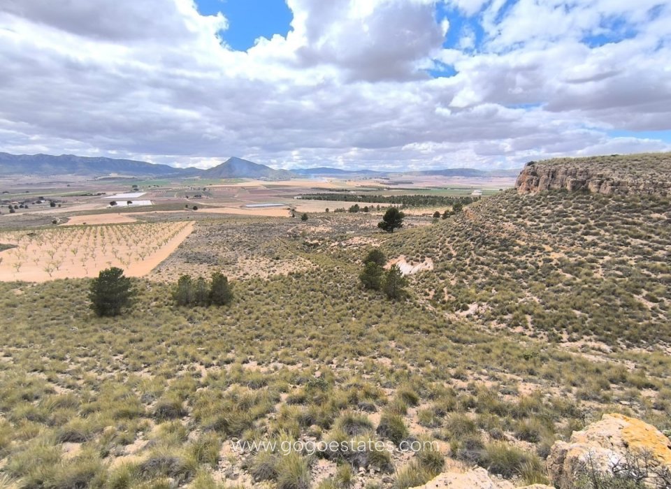 Resale - Plot - Land - Yecla - Yecla Centro