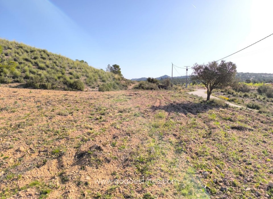 Resale - Plot - Land - Yecla - Yecla Centro