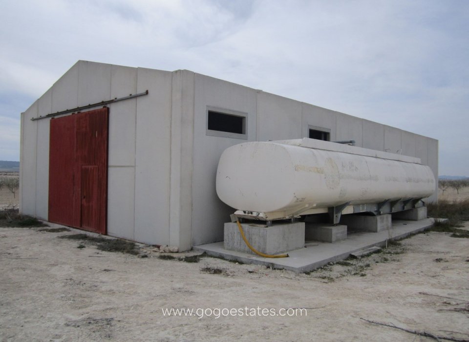 Resale - Plot - Land - Yecla - Yecla Centro