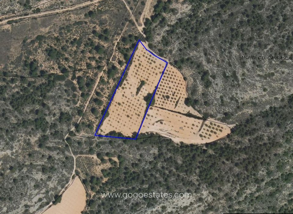 Resale - Plot - Land - Yecla - Yecla Centro