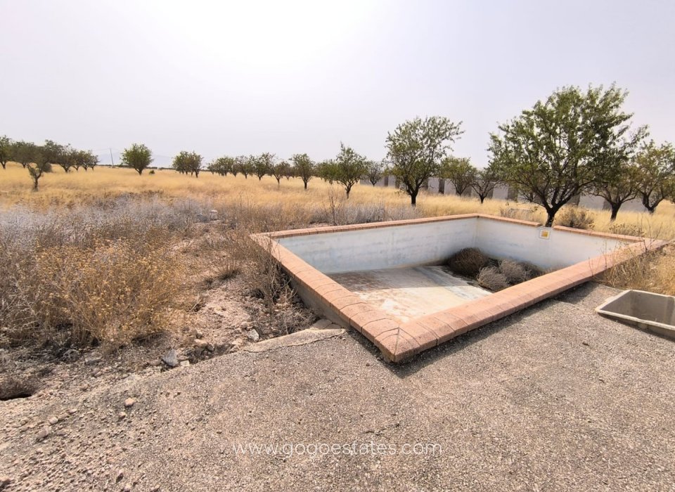 Resale - Plot - Land - Yecla - Yecla Centro