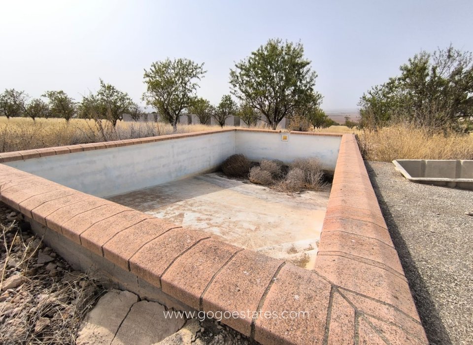 Resale - Plot - Land - Yecla - Yecla Centro