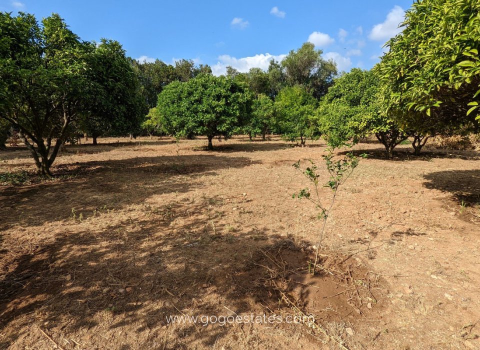 Resale - Plot - Residential Plot - Dénia - Denia Centro