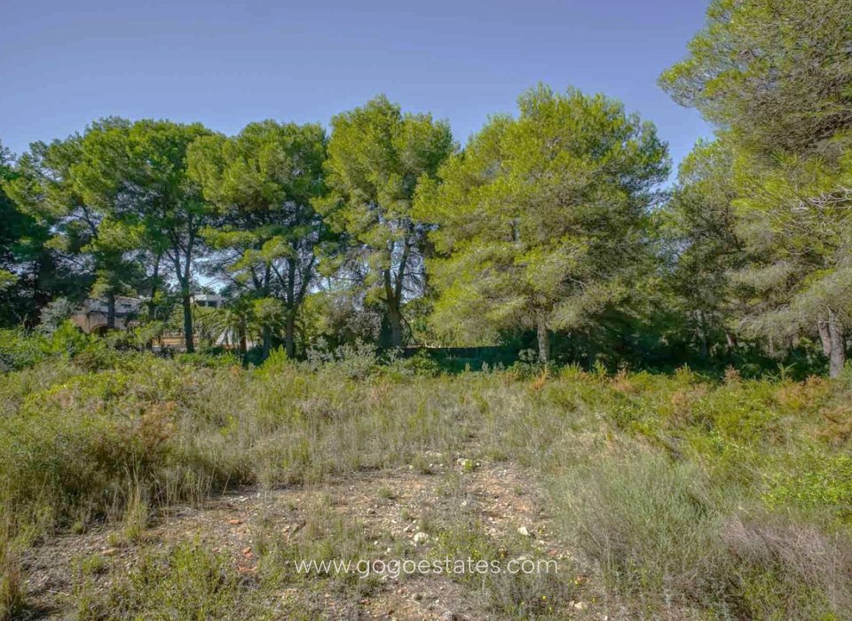 Resale - Plot - Residential Plot - Jávea Xàbia - Jávea - Xàbia Centro