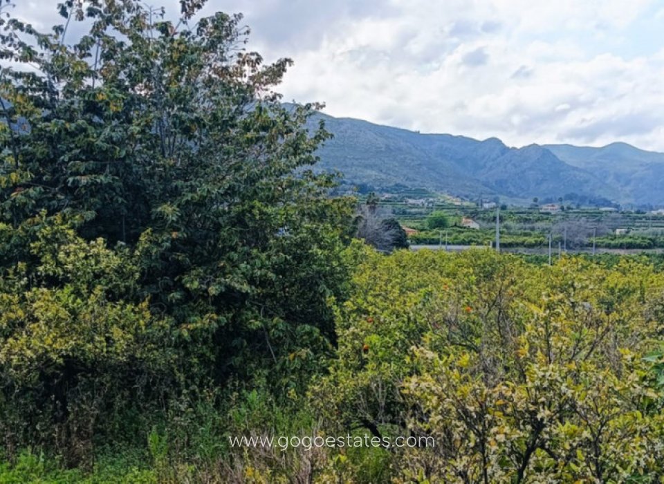 Resale - Plot - Residential Plot - Pego - Pego Centro