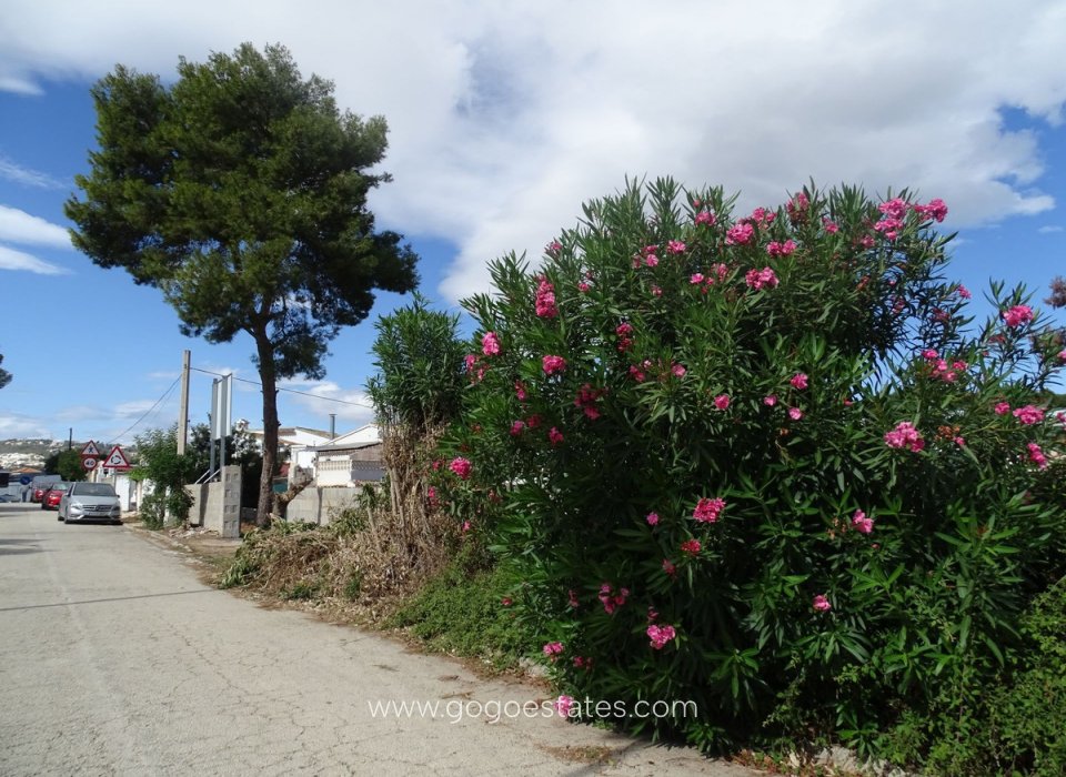 Resale - Plot - Residential Plot - Teulada - Teulada Centro