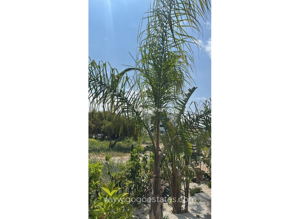 Revente - Appartement - Appartement au rez-de-chaussée - Jávea Xàbia - Jávea - Xàbia Centro