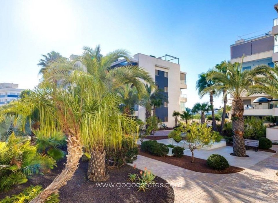 Revente - Appartement - Appartement au rez-de-chaussée - Orihuela - Los Dolses