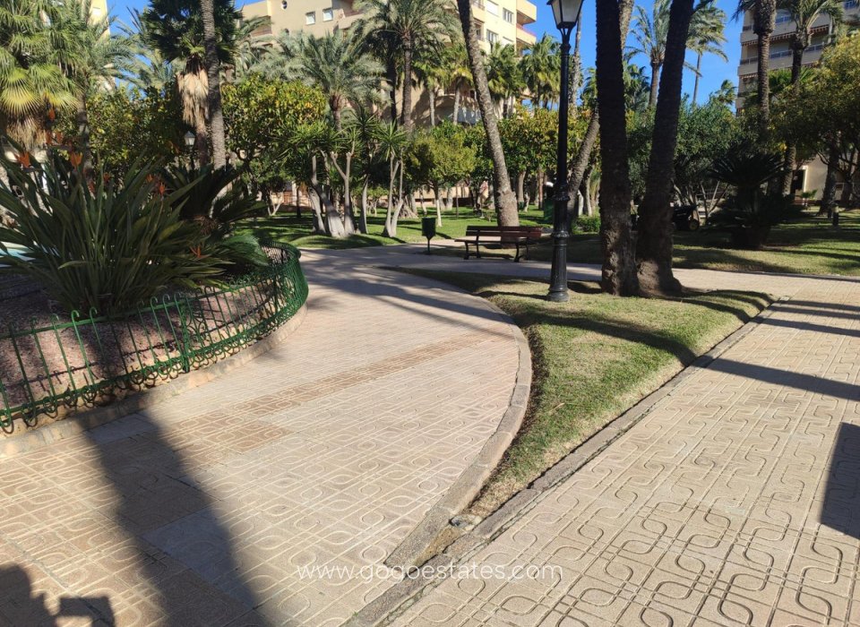Revente - Appartement - Appartement au rez-de-chaussée - Torrevieja - Torrevieja Centro