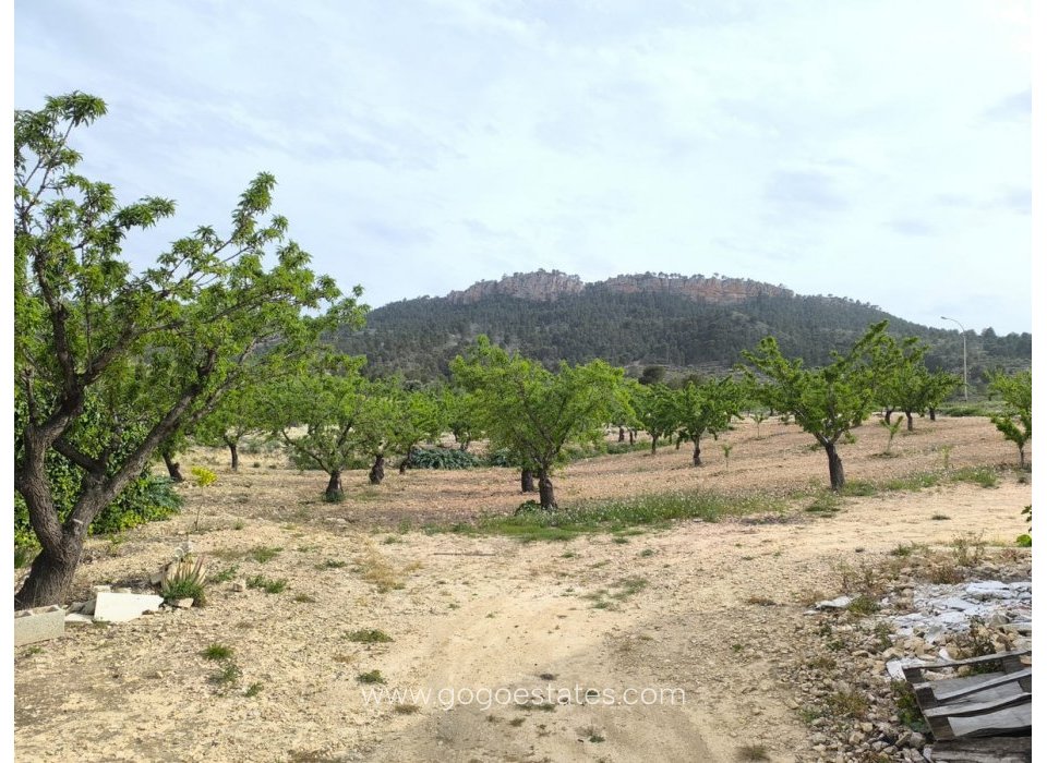 Revente - Casa Cueva - Jumilla - Jumilla Centro