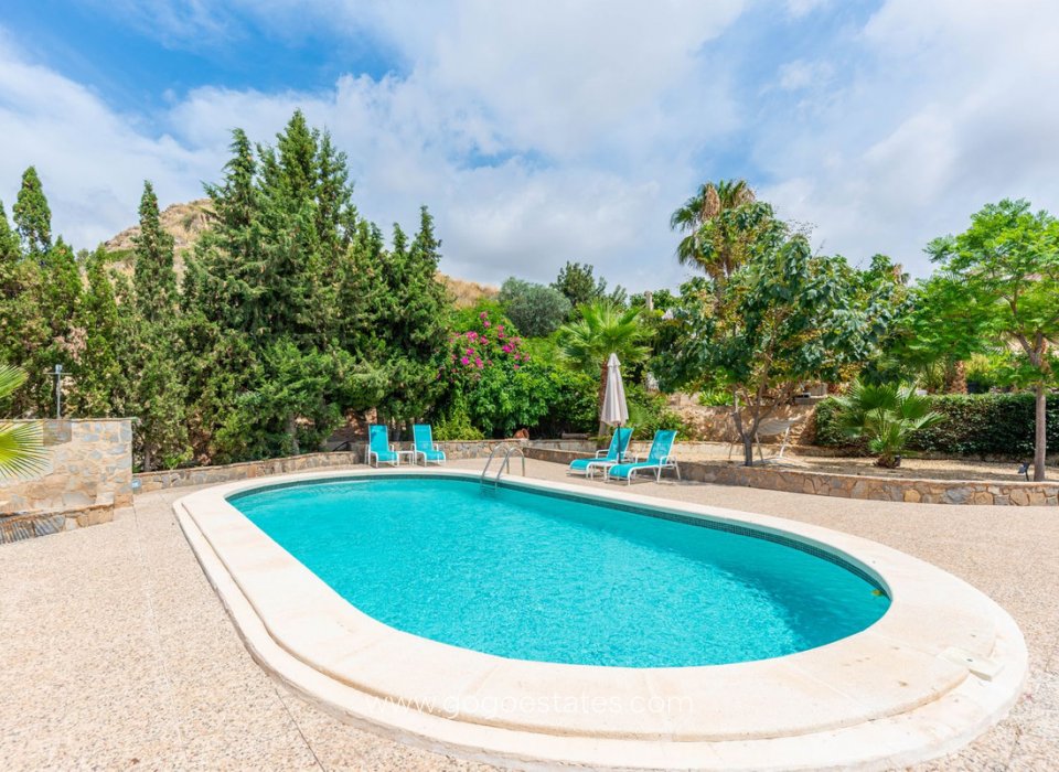 Revente - Commercial - Appart'hôtel - San Vicente del Raspeig - San Vicente del Raspeig Centro