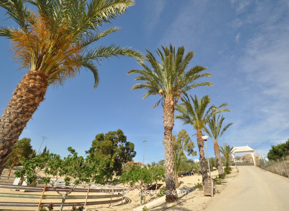 Revente - Commercial - Autre - Murcia - Abanilla Centro