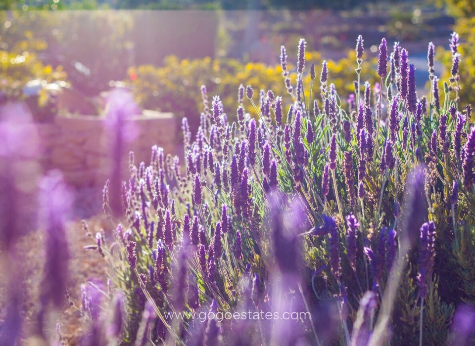 Revente - Maison - Finca - Cortijo - Benissa - Benissa Centro