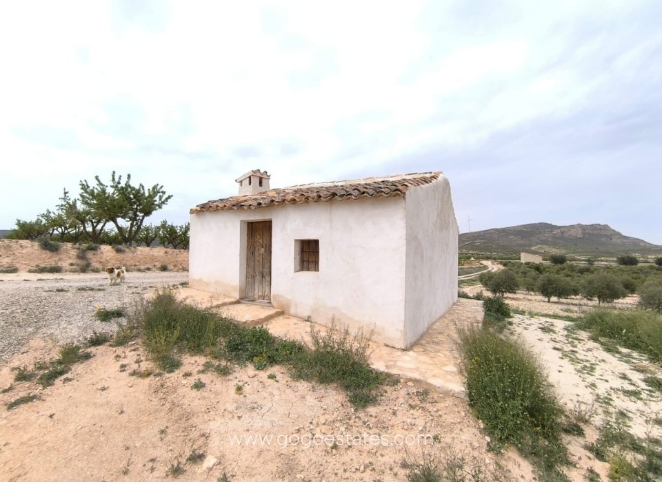 Revente - Maison - Finca - Cortijo - Jumilla - Jumilla Centro
