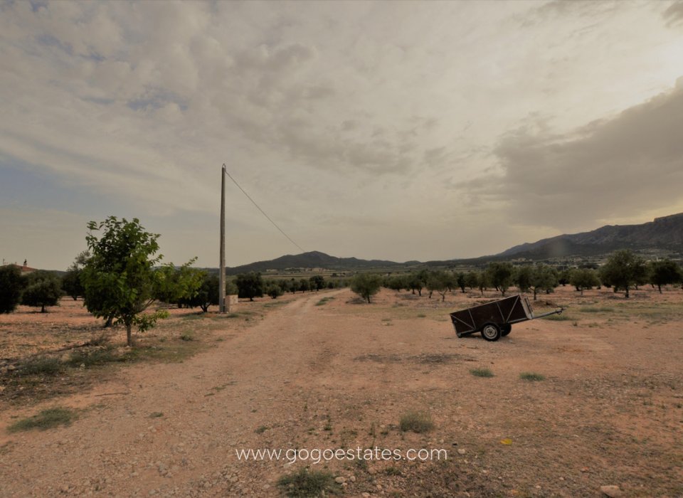 Revente - Maison - Finca - Cortijo - Salinas - Salinas Centro