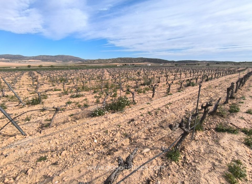 Revente - Maison - Finca - Cortijo - Yecla - Yecla Centro