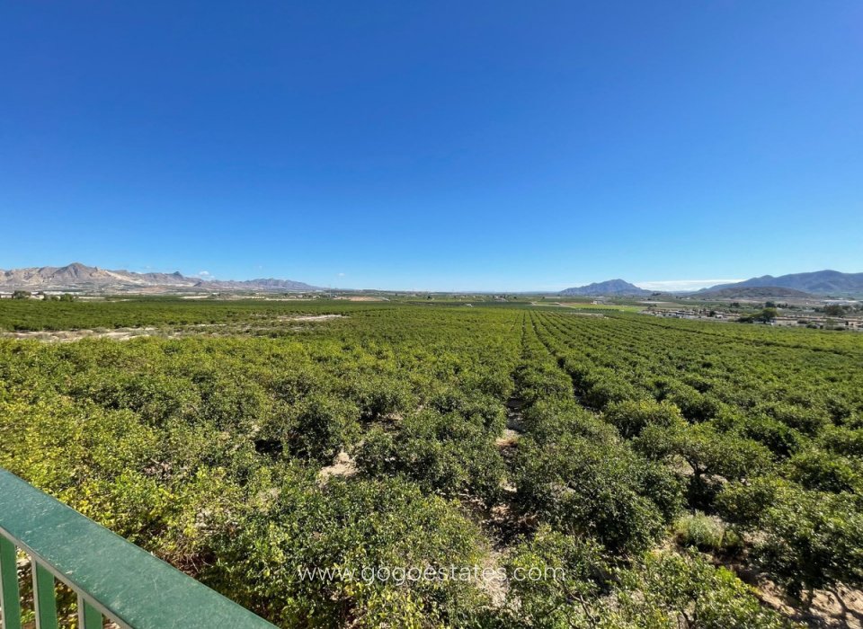 Revente - Maison - Villa Individuelle - Murcia - Murcia City