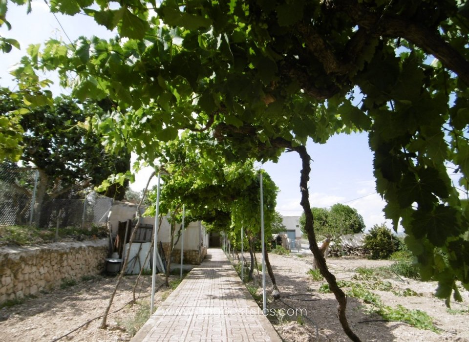 Revente - Maison - Villa Individuelle - Yecla - Yecla Centro