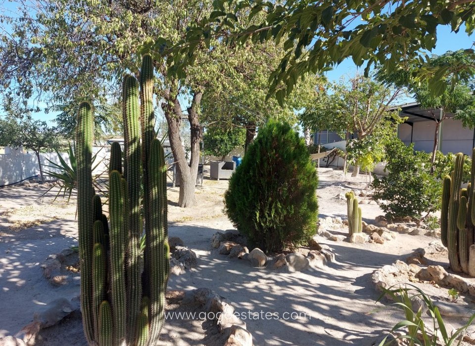 Revente - Negocio - Baza