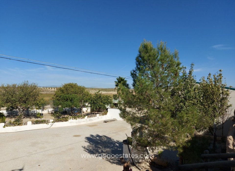 Revente - Negocio - Baza