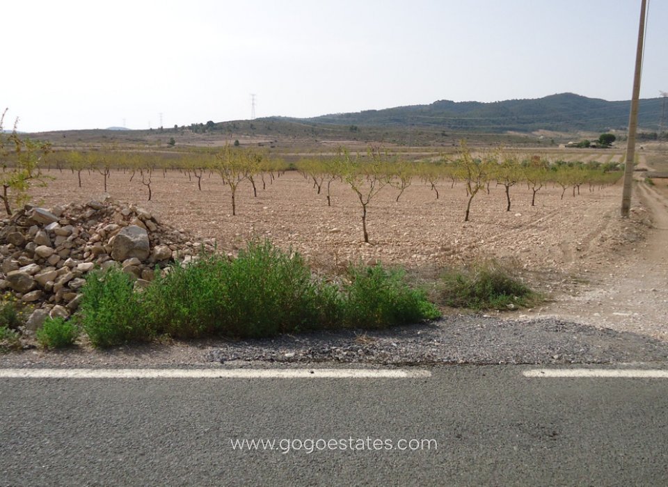 Revente - Parcela - Jumilla - Cañada del Trigo