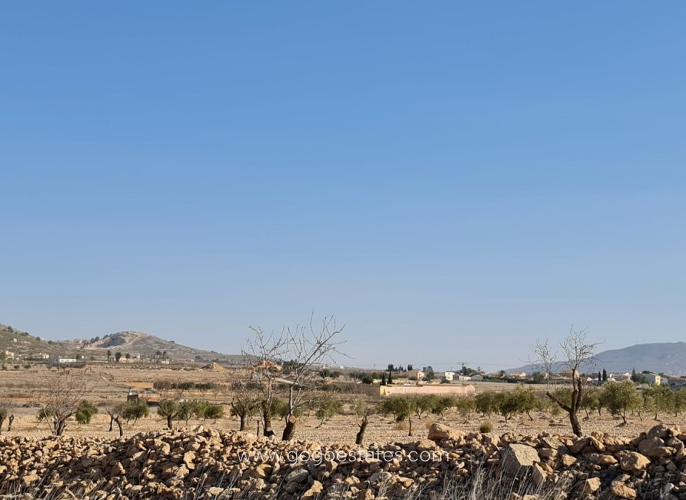 Revente - Parcela - Jumilla - Jumilla Centro