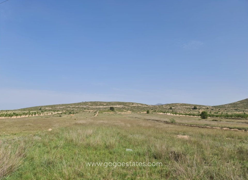 Revente - Parcela - Jumilla - Jumilla Centro