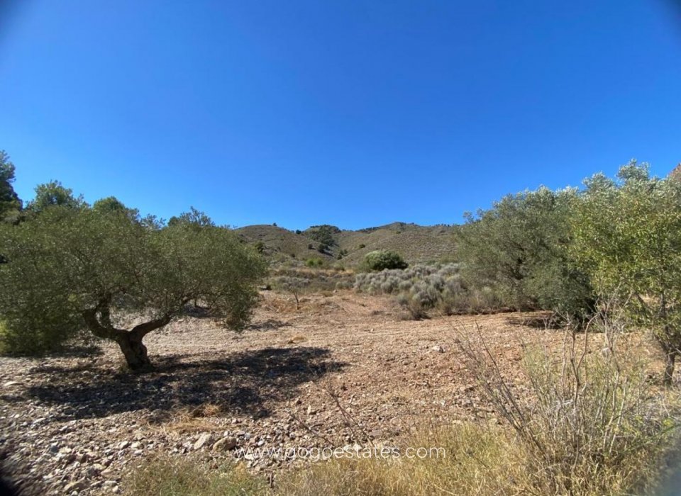 Revente - Parcela - Lorca - La Hoya-Almendricos-Purias
