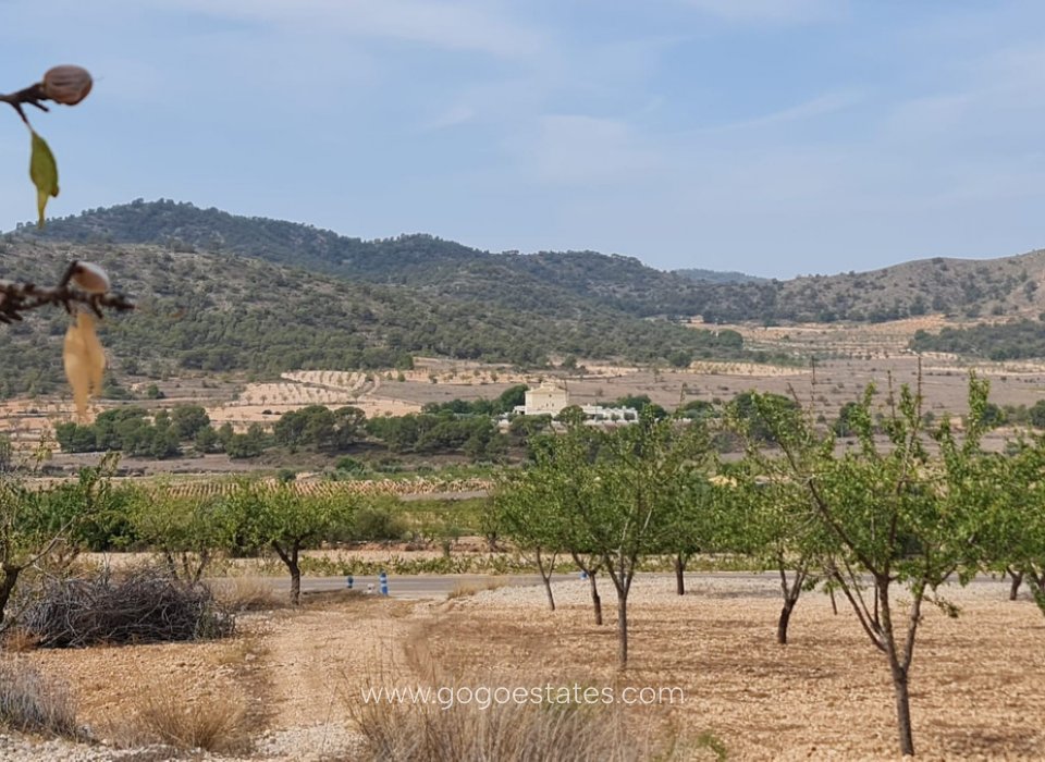 Revente - Terrain - Terrain - Algorfa - Algueña