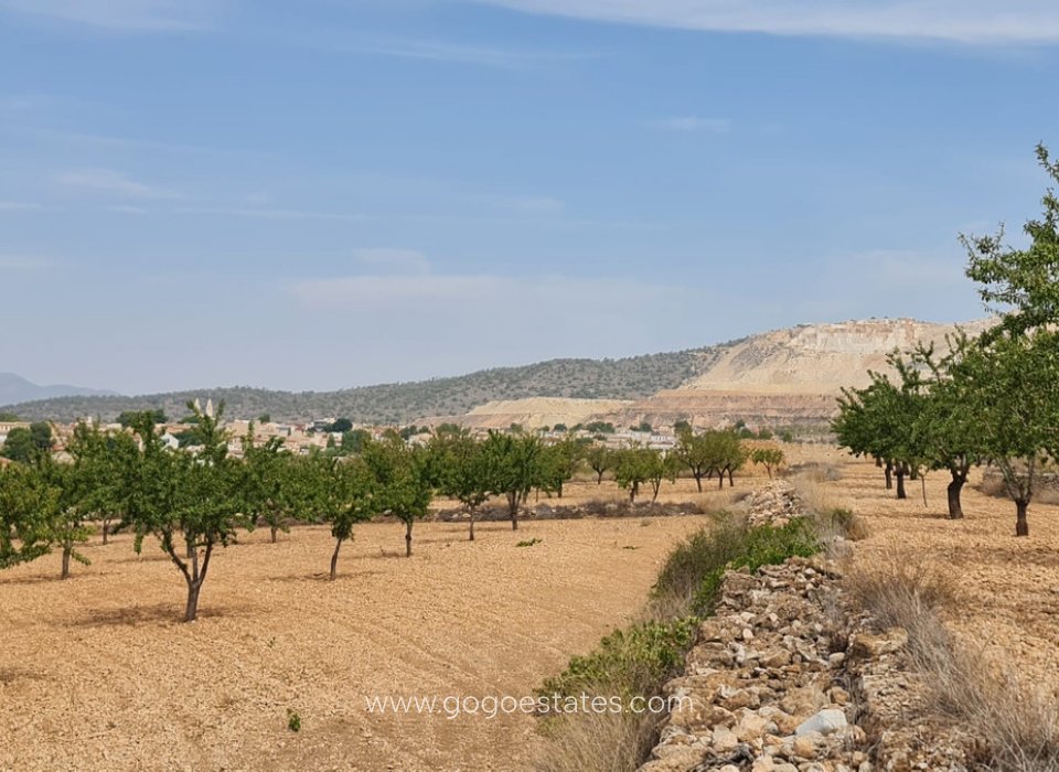 Revente - Terrain - Terrain - Algorfa - Algueña