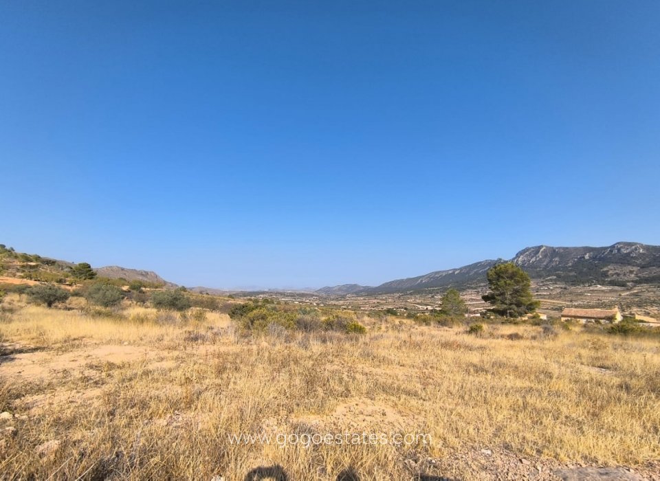Revente - Terrain - Terrain - Algorfa - Algueña