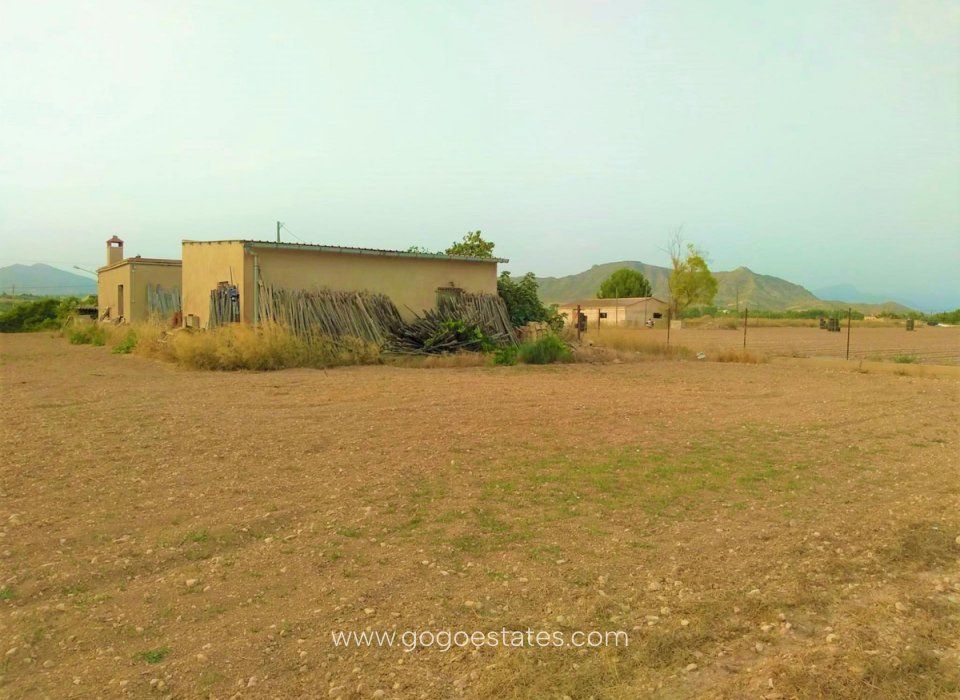 Revente - Terrain - Terrain - Aspe - Aspe Centro