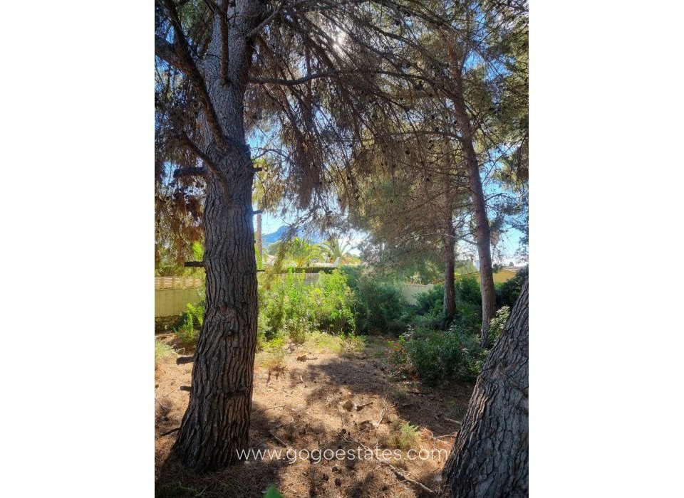 Revente - Terrain - Terrain - Calpe - Calpe Centro