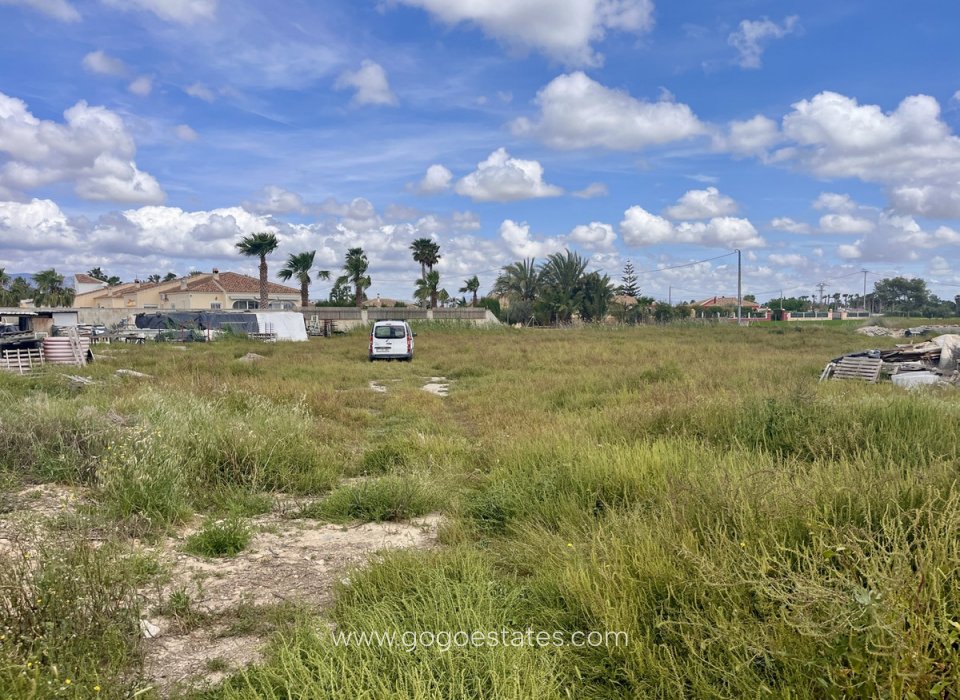 Revente - Terrain - Terrain - Catral - Catral Centro