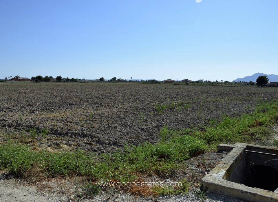 Revente - Terrain - Terrain - Catral - Catral Centro