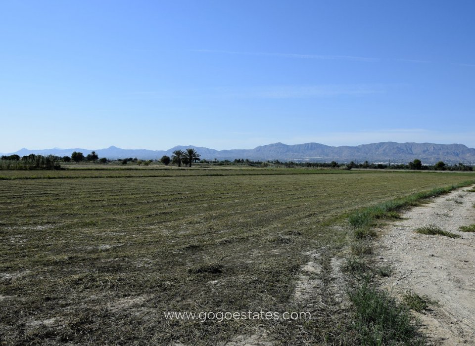 Revente - Terrain - Terrain - Catral - Catral Centro