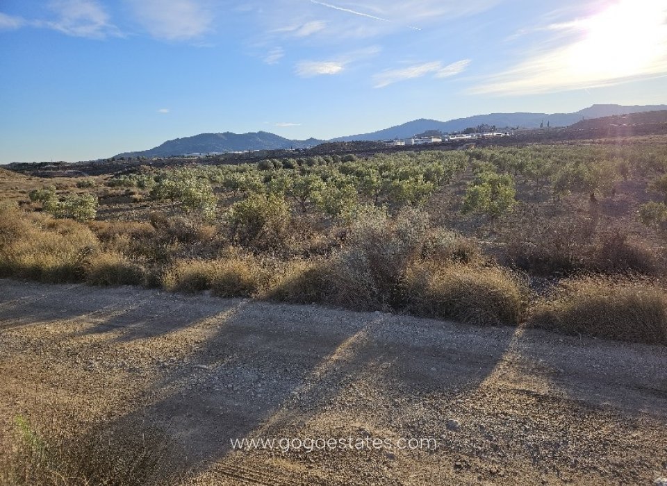 Revente - Terrain - Terrain - Elda - Elda Centro
