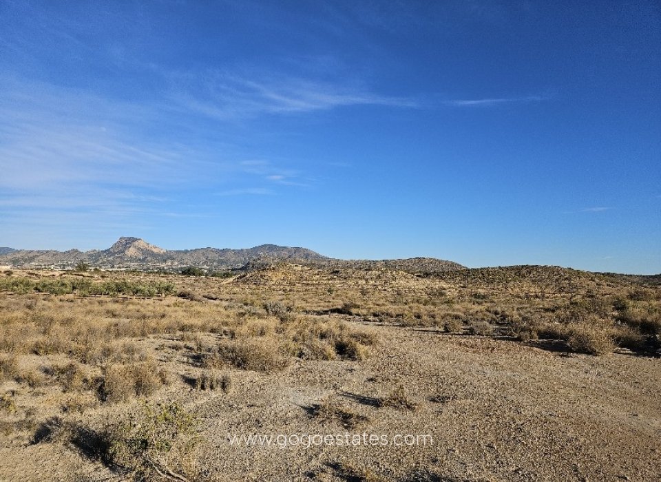 Revente - Terrain - Terrain - Elda - Elda Centro