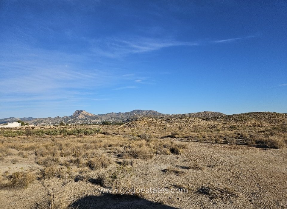 Revente - Terrain - Terrain - Elda - Elda Centro