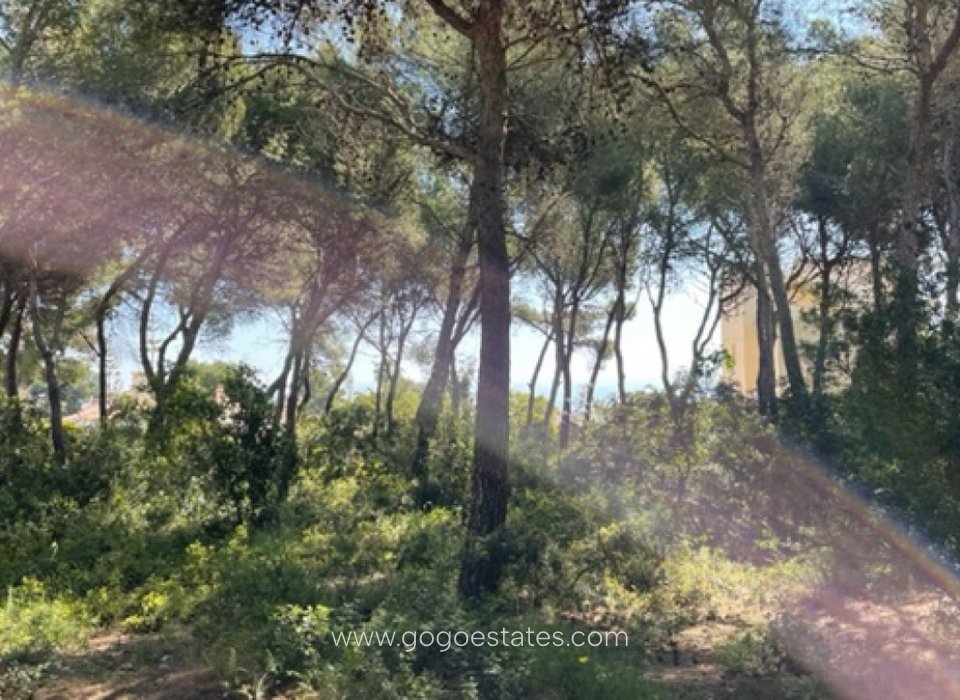 Revente - Terrain - Terrain - Jávea Xàbia - Jávea - Xàbia Centro