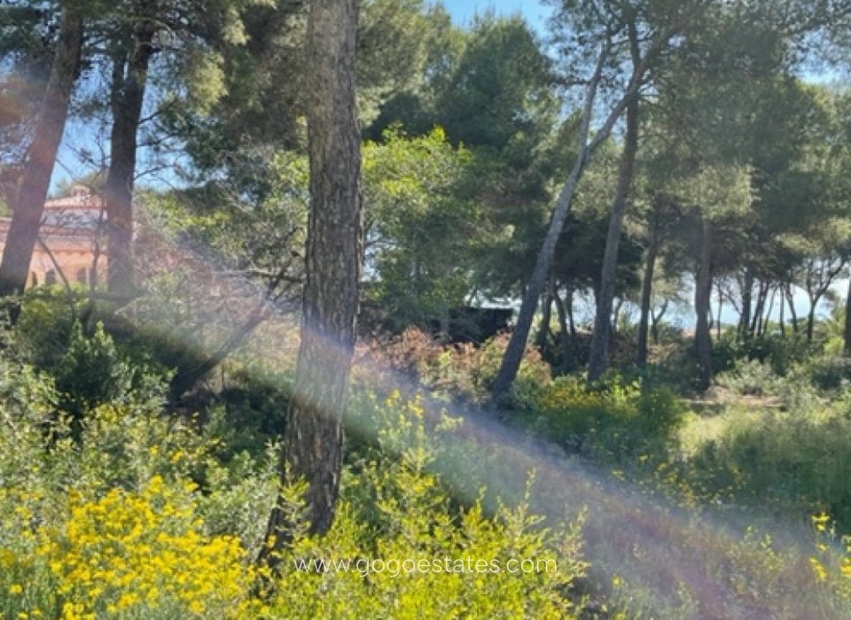 Revente - Terrain - Terrain - Jávea Xàbia - Jávea - Xàbia Centro