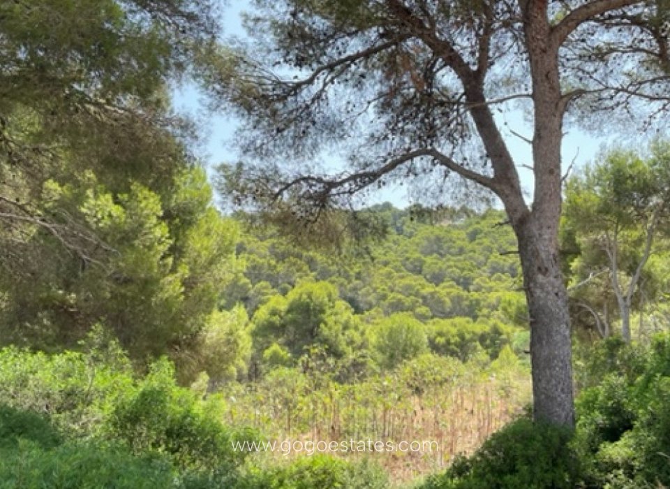 Revente - Terrain - Terrain - Jávea Xàbia - Jávea - Xàbia Centro