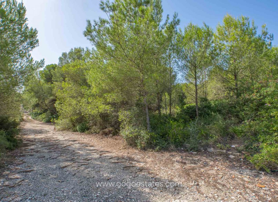 Revente - Terrain - Terrain - Jávea Xàbia - Jávea - Xàbia Centro