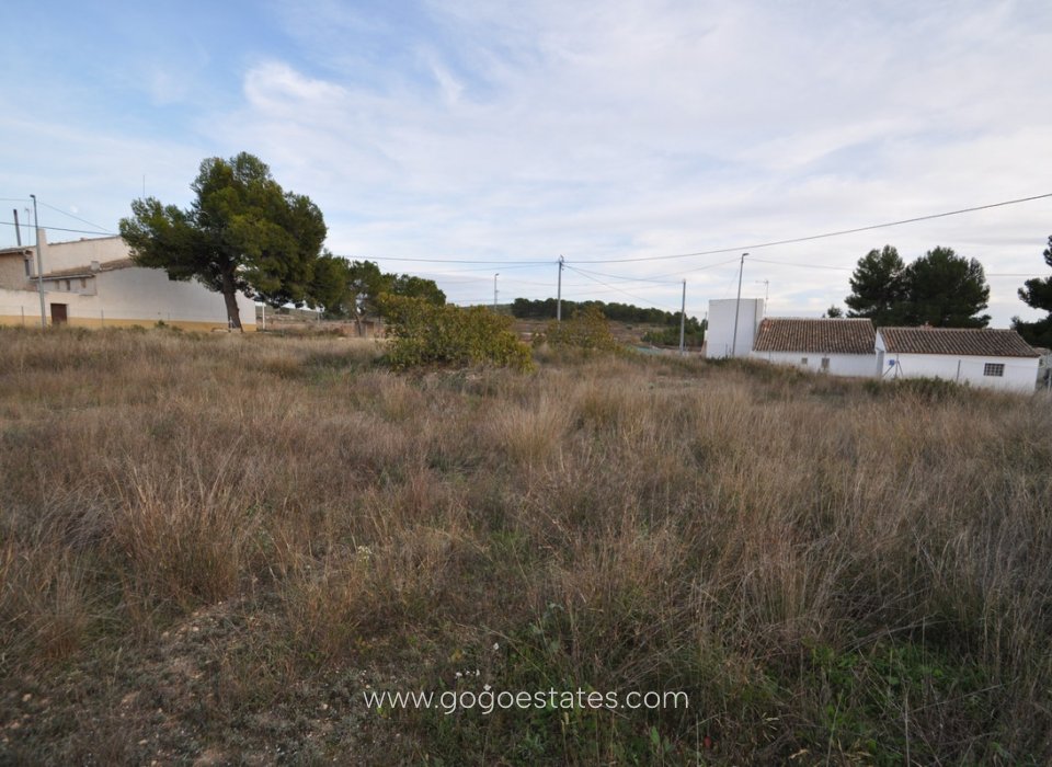 Revente - Terrain - Terrain - Jumilla - Cañada del Trigo