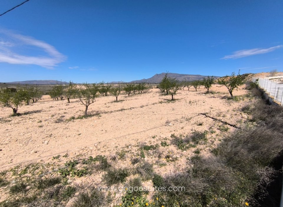 Revente - Terrain - Terrain - Jumilla - Jumilla Centro