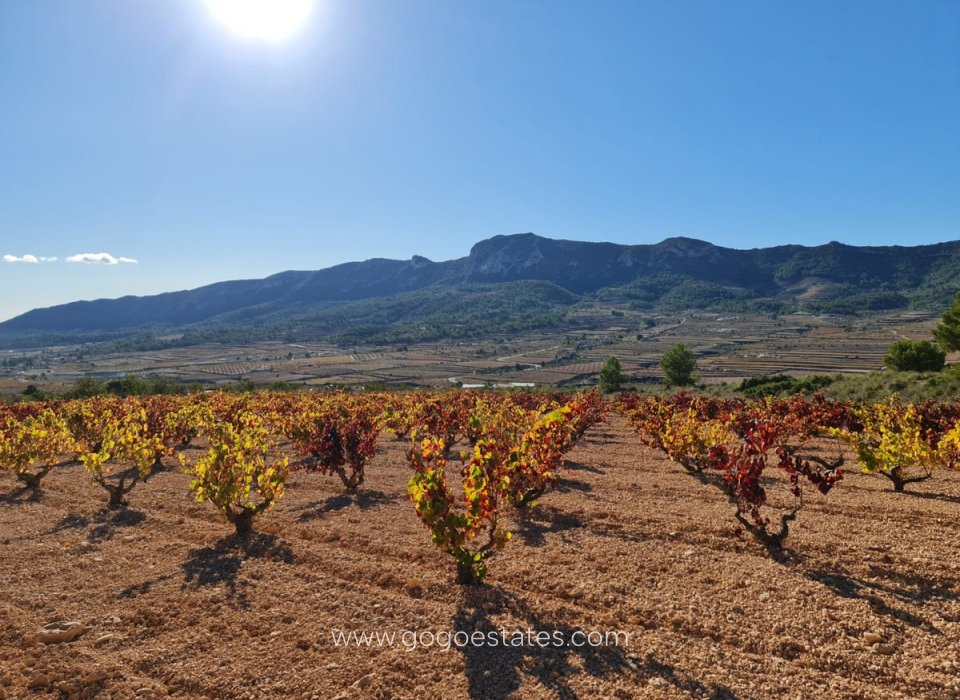 Revente - Terrain - Terrain - La Romana - La Romana Centro